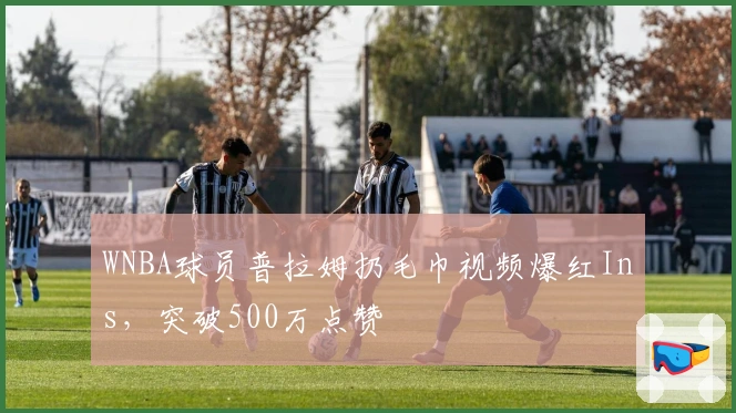 WNBA球员普拉姆扔毛巾视频爆红Ins，突破500万点赞