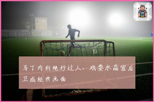 马丁内利绝妙过人，戏耍水晶宫后卫成经典画面