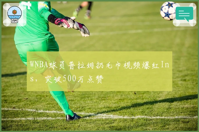 WNBA球员普拉姆扔毛巾视频爆红Ins，突破500万点赞